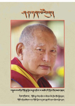 ཤར་སྟག་མོའི་བུ། ཁ།