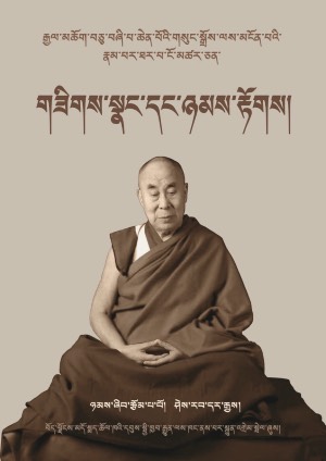 གཟིགས་སྣང་དང་ཉམས་རྟོགས།