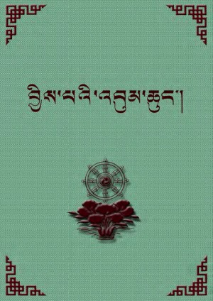 བྱིས་པའི་འབུམ་ཆུང་།
