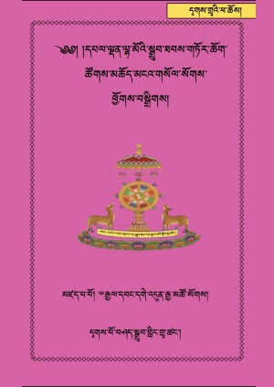 ལྷ་མོའི་སྒྲུབ་ཐབས་གཏོར་ཆོག་ཚོགས་སོགས།