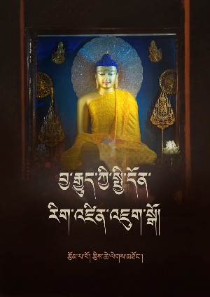 བྱ་རྒྱུད་ཀྱི་སྤྱོ་དོན་རིག་འཛིན་འཇུག་སྒོ།