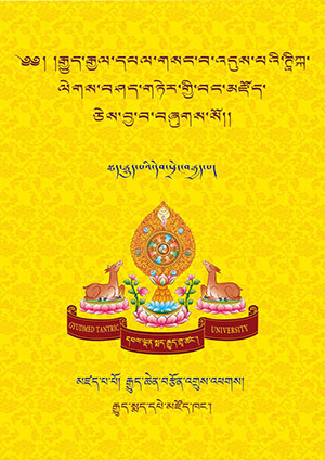 རྒྱུད་ཆེན་བརྩོན་འགྲུས་འཕགས་ཀྱི་ཊཱིཀྐ།