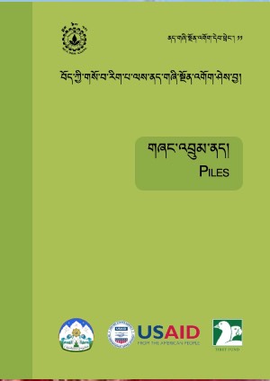 གཞང་འབྲུམ་ནད།