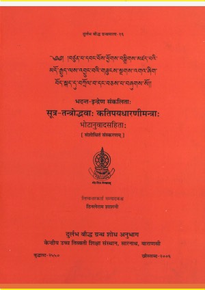 གཟུངས་སྔགས་འགའ་ཞིག་བོད་སྐད་དུ་བཀྲོལ་བ།