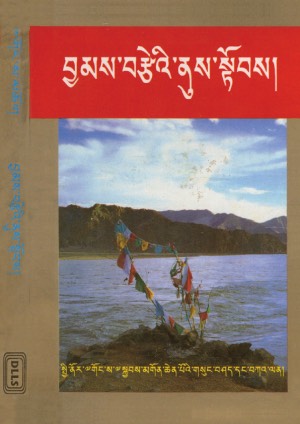 བྱམས་བརྩེའི་ནུས་སྟོབས།