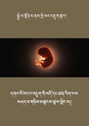 སྐྱེ་བ་སྔོན་མ་ནས་ཕྱི་མར་འཇུག་ཚུལ།