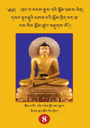 ནང་པ་སངས་རྒྱས་པའི་སྒོམ་ཉམས་ལེན། བར་ཆ།
