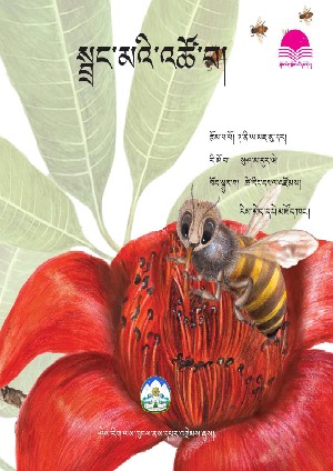 ཤེས་རིག་བྱིས་པའི་དཔེ་དེབ། ཉ