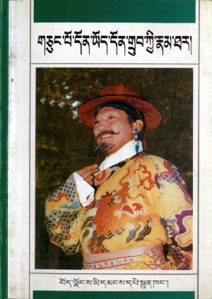 གཅུང་དོན་ཡོད་དོན་གྲུབ་ཀྱི་རྣམ་ཐར།