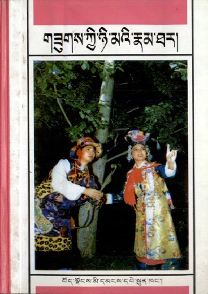 གཟུགས་ཀྱི་ཉི་མའི་རྣམ་ཐར།